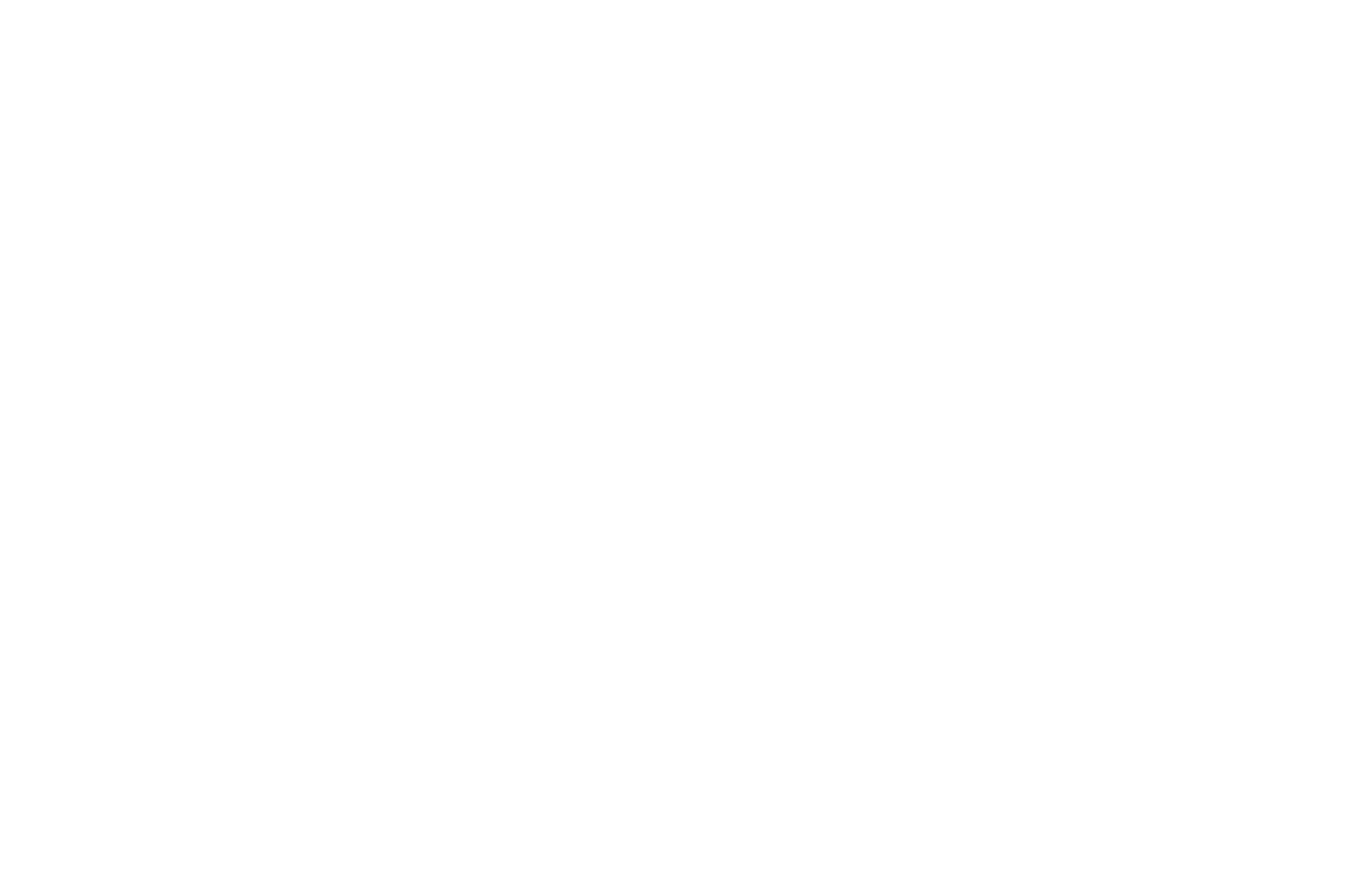 Kevin Fleming Logo